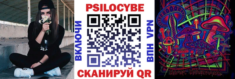 даркнет наркотические препараты  Кремёнки  Псилоцибиновые грибы Magic Shrooms 